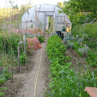 ORTO giardino
