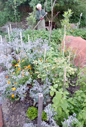 ORTO giardino La nuova Selvaiana