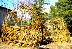 capannine in salice vivo a rontagnano