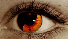 OCCHIO YinYang