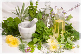 erbe_e_piante medicamentose